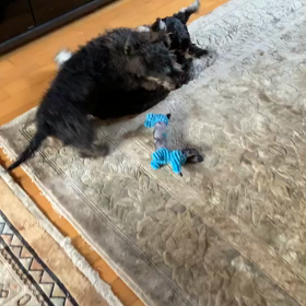 お便りいただきました♪の画像