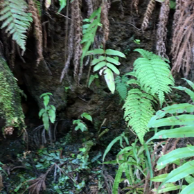 山のなかでの画像