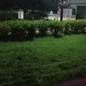 ウォーキング時々ランニングの画像