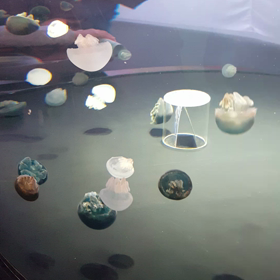 うーーん。笑の画像