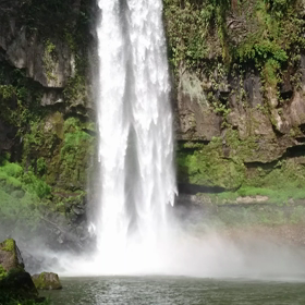 動画をアップしました！☆の画像