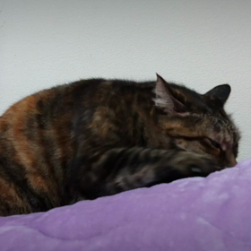 とにかく見て‼️(￣□￣;)!!の画像