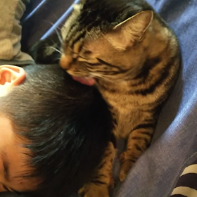 愛情表現の画像