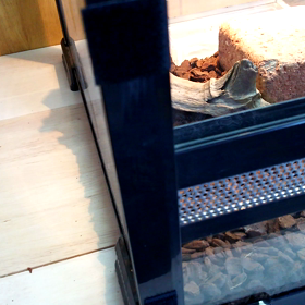 好き嫌いがハッキリしてる！の画像