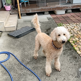 ジャンプ！！の画像