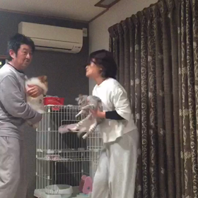 今日は令和始まりの日の画像