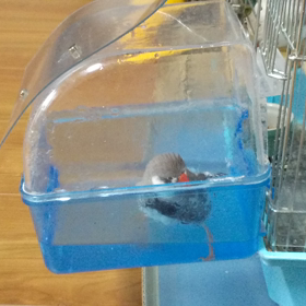 上手くならないの画像