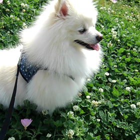 おはよーの画像