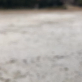 とってこいの画像