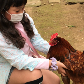 自然と触れ合う体験の画像