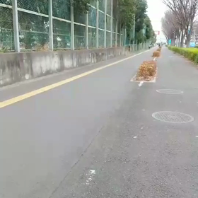 多摩湖駅伝選考会(ロード)ゴール②の画像