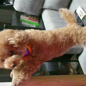 トイレタイムの画像