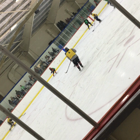 No.29 ice hockeyの画像