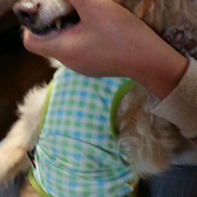 歯磨き動画(音声あり)の画像