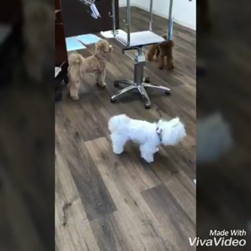 初めてのお友達♪の画像