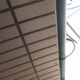 ahh〜夏が来たの画像