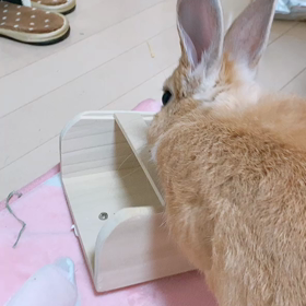 カジカジの画像