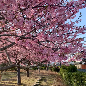 やっと見られたの画像