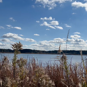 トレーニングは続けていますが…。の画像