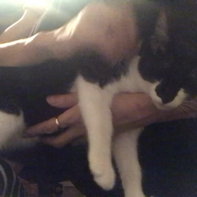 超甘えん坊の蘭太郎くんの画像