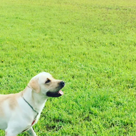 "Hey, right here!!"の画像