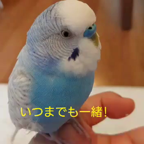 これ新しいのか？って、葉っぱの事？の画像