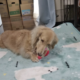 嫌い❓️の画像