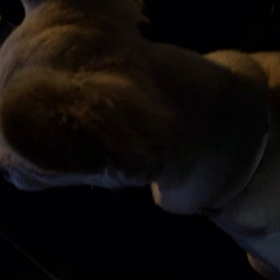 なぜにー、の画像