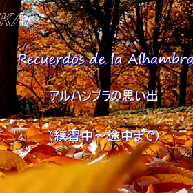 ユーチューブ再開しましたの画像