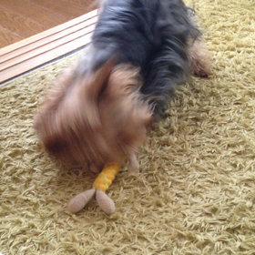 非公開映像流出（笑）の画像