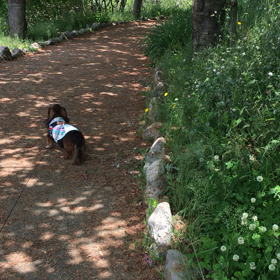 風土記の丘 散策の画像