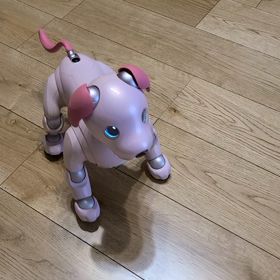 負けた人の画像