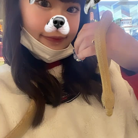 爬虫類カフェ行ってきたの画像