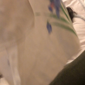 パタパタ。の画像