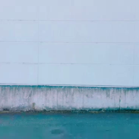 仲良し❤️の画像
