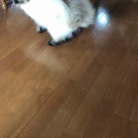 蒸し暑いの画像