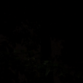 9月だなんて……の画像