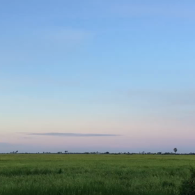 2017年  感謝を込めての画像