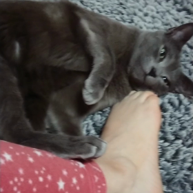 お掃除dayの画像