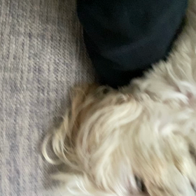 ☆寝顔おブスちゃん☆の画像