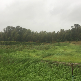 台風21号の画像