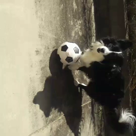 「リベリィ❣️サッカー⚽️をする‼️」の巻き(笑)の画像