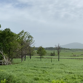行ってみなけりゃわからない。の画像