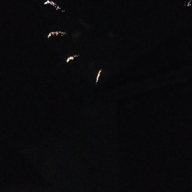 花火大会の画像