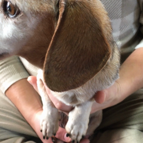 いつもの遊びの画像