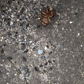 生と死の狭間を見ての画像