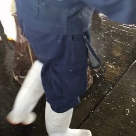 穴子、ワタリガニが高い！の画像