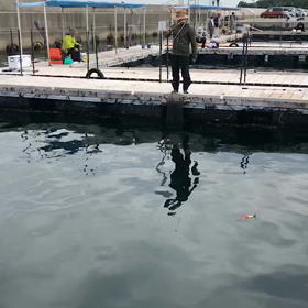 釣り堀久しぶりの画像