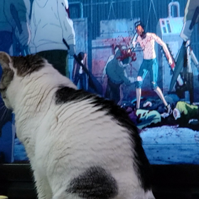 少し出かけた先での画像