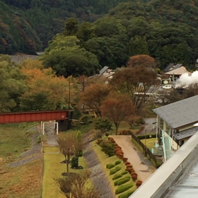 大井川鐵道☆秋のSLの画像